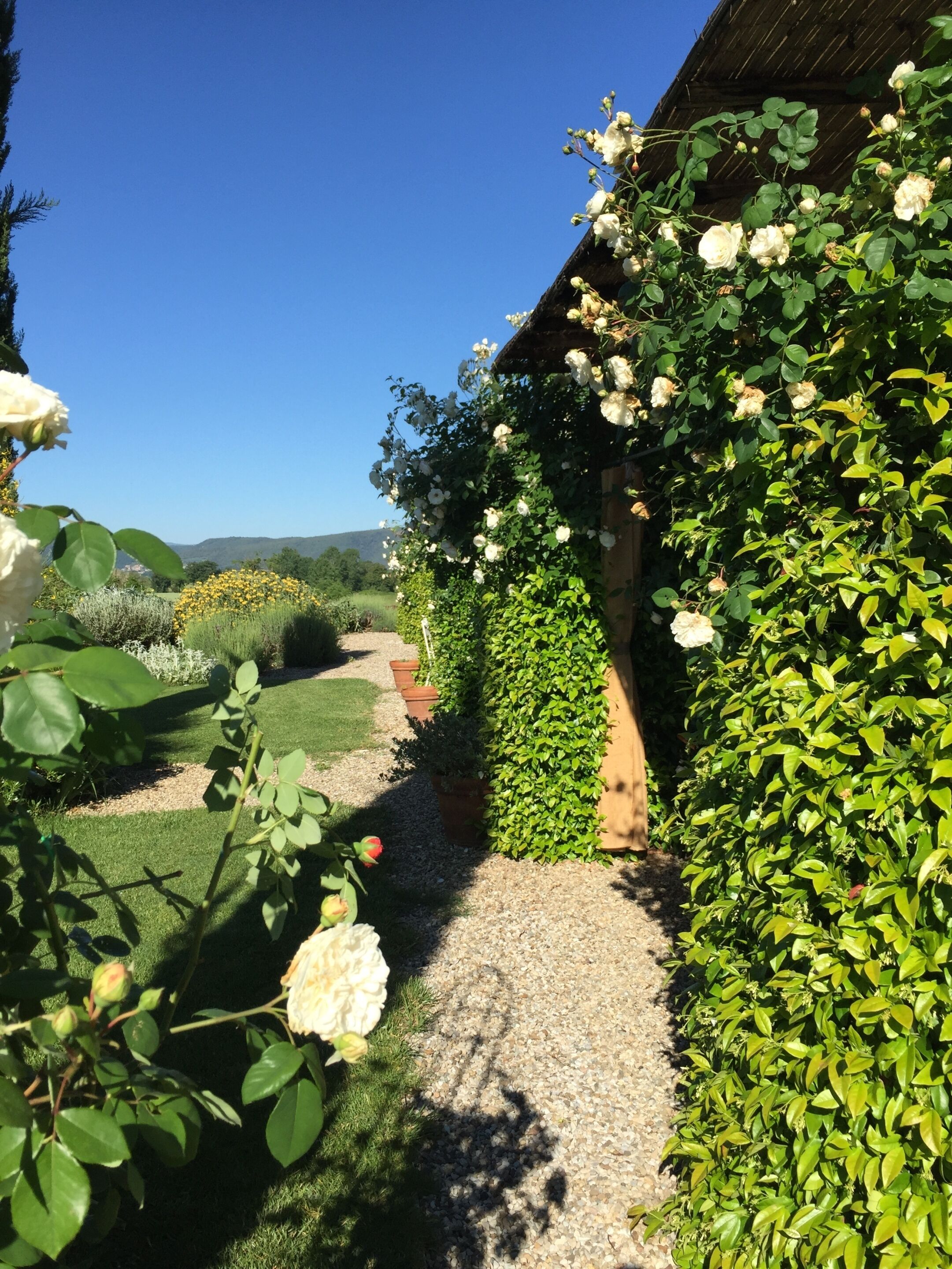 Jardin arrière