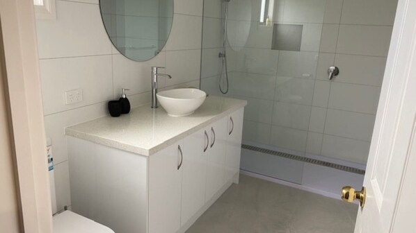 Shower, hair dryer