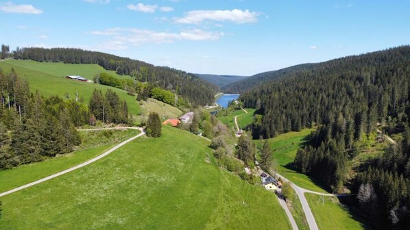 Imagen sin descripción, 1 de 11, botón