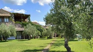 A stone pathway leading through a well-maintained grassy area with a tree on one side and a building in the background. - DOMUSANTIGA - Love nest (studio flat) a few minutes from the sea (San Giovanni Suergiu)