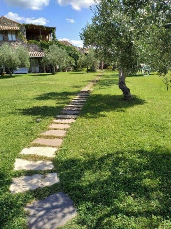 Un sendero de piedra que atraviesa una zona verde cuidada, con un árbol a un lado y un edificio al fondo.