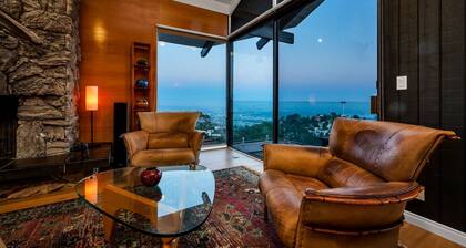 "Best Jet Liner Views" in LA on "Staycation" show Dogs Ok