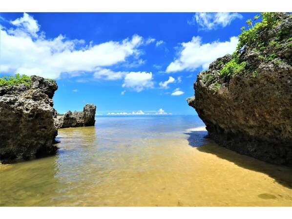Beach - Room C One bedroom King size Room without meals / Kunigami-gun Okinawa (Kunigami-gun)