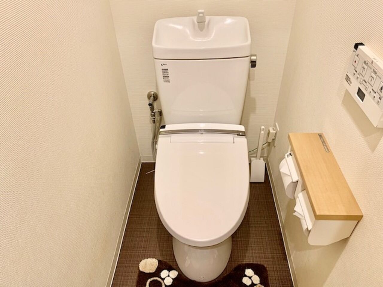 Secadora de cabello, jabón, shampoo 