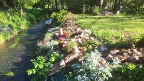 Un jardin agrémenté d’un ruisseau, de rochers et de différentes espèces de plantes.