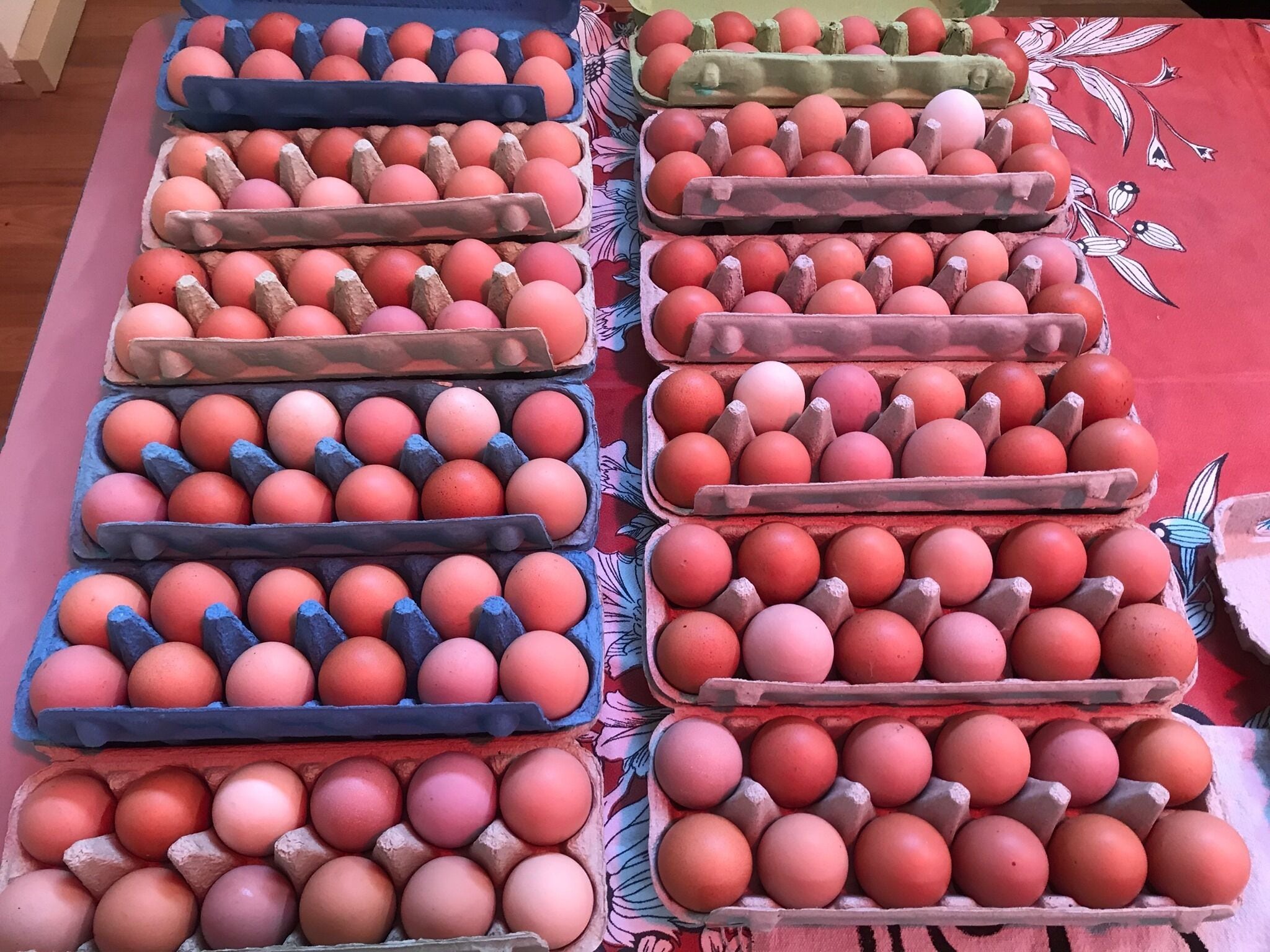 Multiple egg cartons arranged on a table.