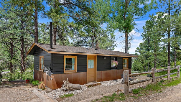 A small cabin with a wooden door and windows, surrounded by trees and gravel.