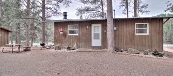 Family friendly cabin!