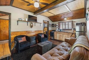 TV, fireplace - Reed's on the River Cabin 6 (Indian River)