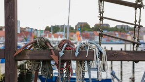 A wooden dock with various ropes and chains hanging. - Boutiquehotel Petuh am Hafen - adults only (Flensburg)
