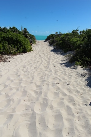 Plage à proximité, chaises longues, serviettes de plage
