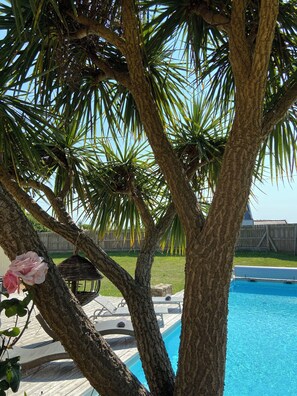 Una piscina al aire libre, una piscina climatizada