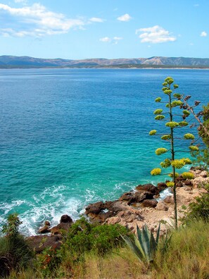 Beach nearby, sun-loungers
