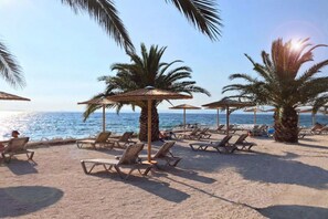 Une plage avec des transats et des palmiers.