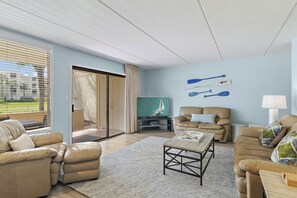 TV, video library