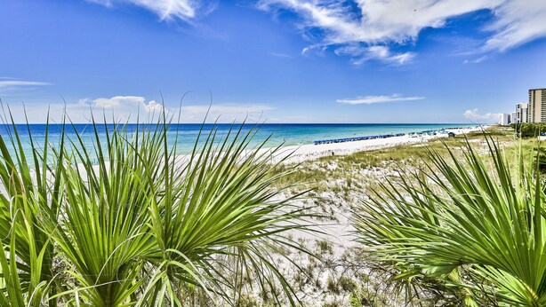 Ein Strand mit blauem Himmel, sandigem Ufer und etwas Vegetation im Vordergrund.