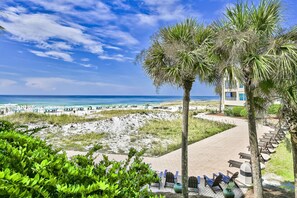 A beach view with a pathway leading to a building, palm trees, and beach chairs. - Beach-side, beautiful low-rise with uncrowded beach! (Destin)
