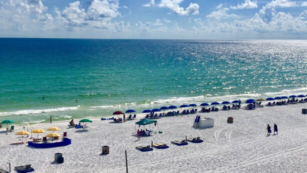 A beach with rows of sun umbrellas and lounge chairs, a sandy shore, and the ocean in the background.