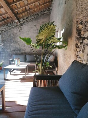 A cozy living area with a wooden ceiling, a sofa, a coffee table, and a potted plant. - Loft design au centre-ville avec jardin et parking (Gannat)