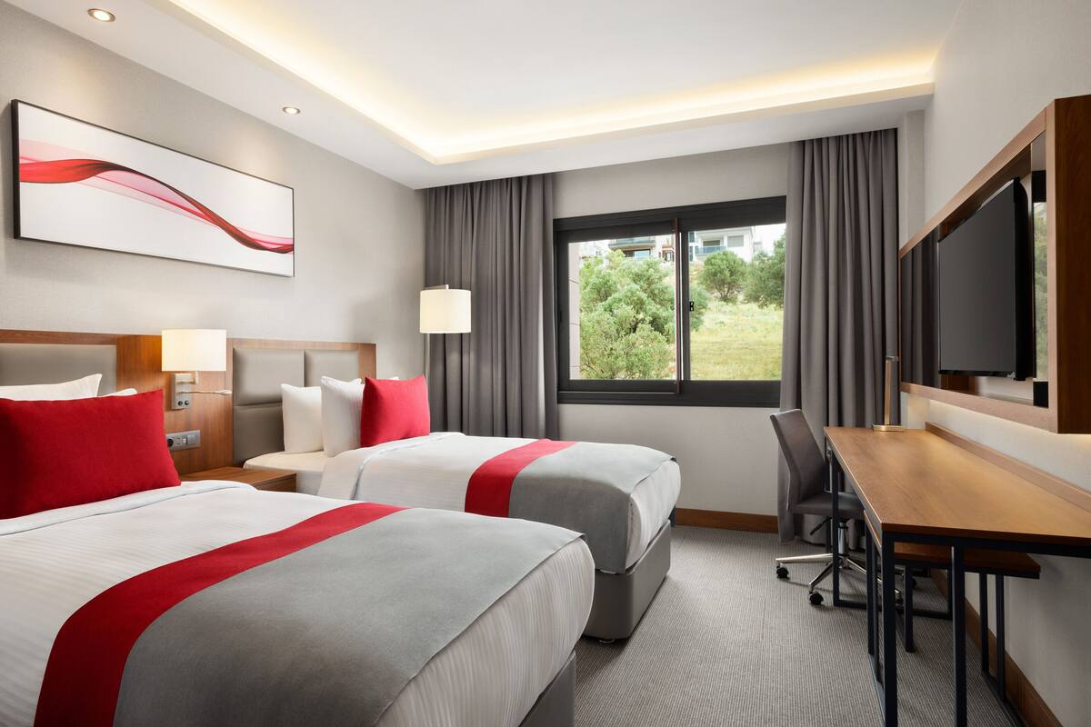 Habitación de hotel con dos camas, un escritorio, un televisor y una ventana con vistas a zonas verdes.