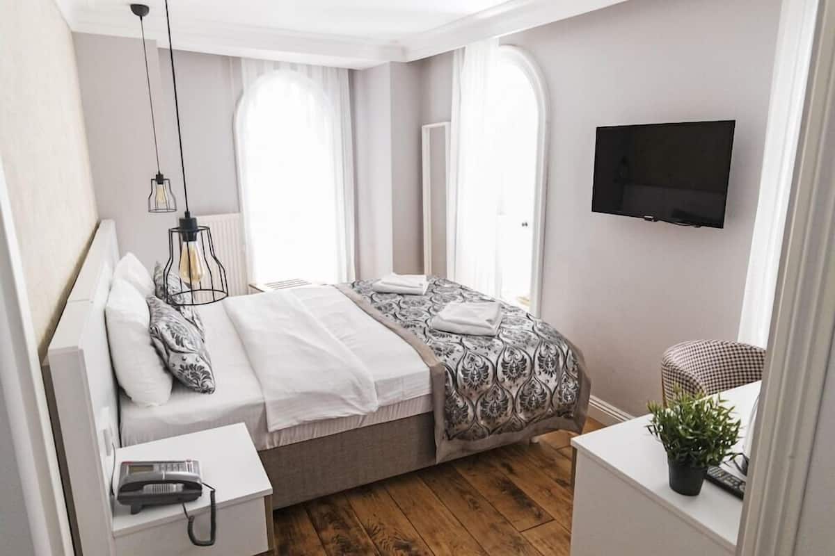Un dormitorio con cama, mesita de noche, televisor y una planta en maceta.