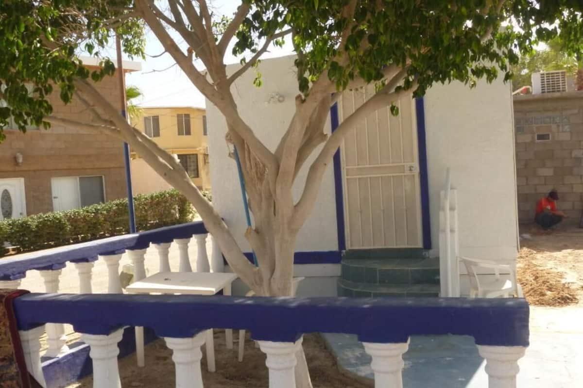 Traditional Studio | Down comforters, free WiFi, bed sheets