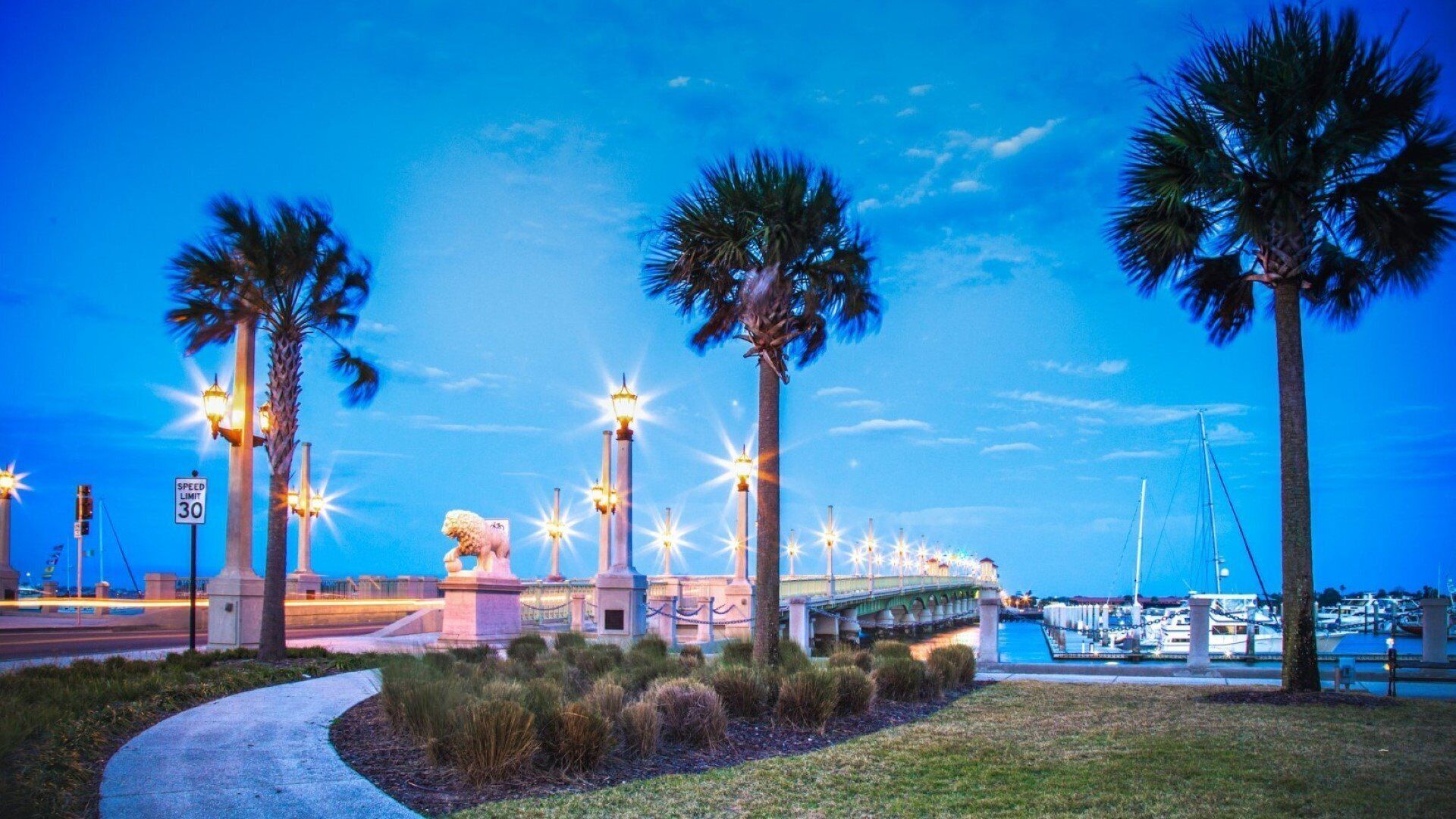 A marina with boats, palm trees, and a bridge.