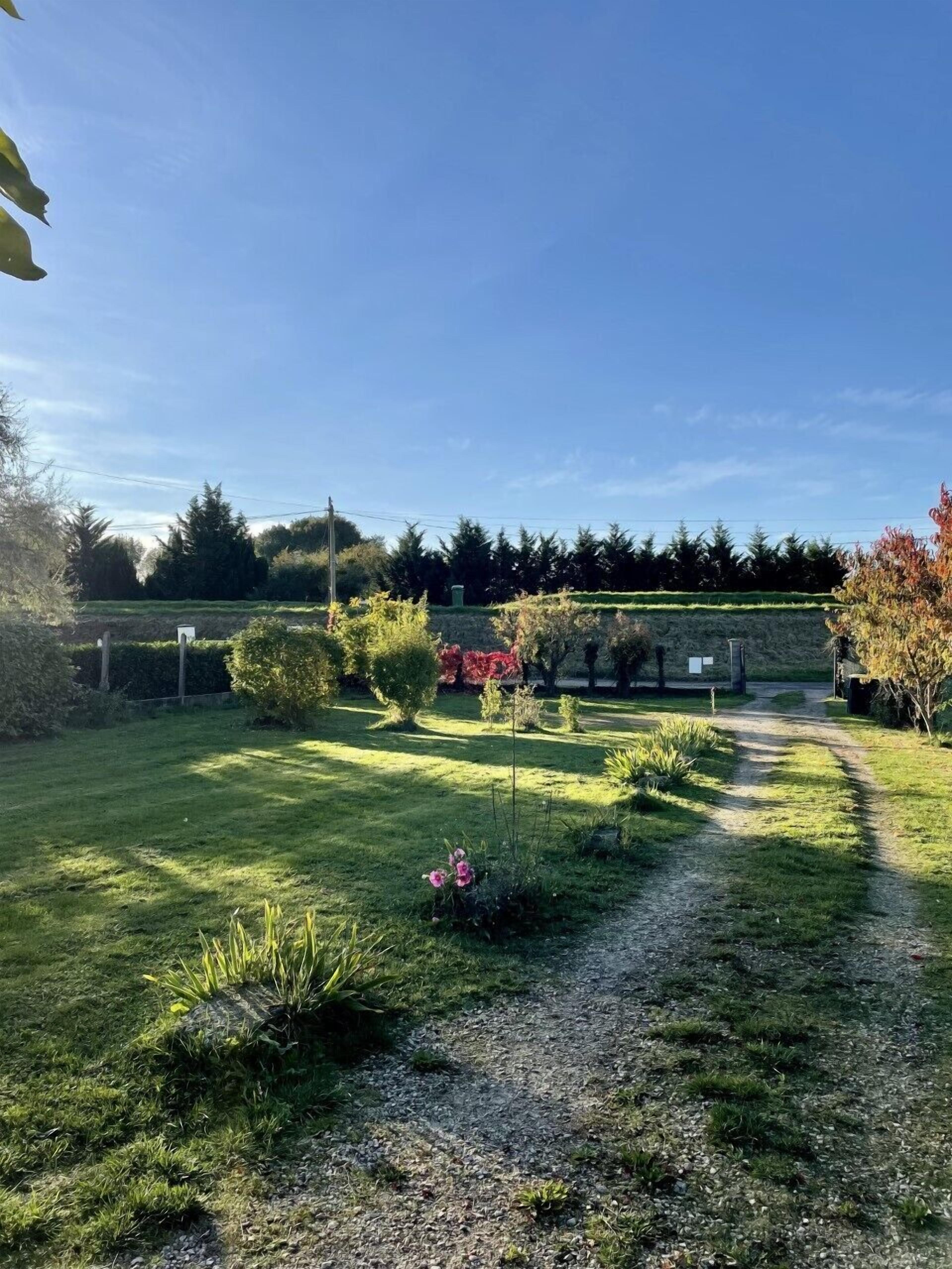 A garden with a gravel path, various shrubs, and a clear blue sky.