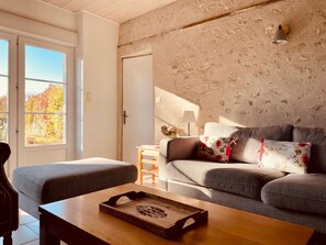 Télévision, lecteur de DVD, baby-foot, table de tennis de table