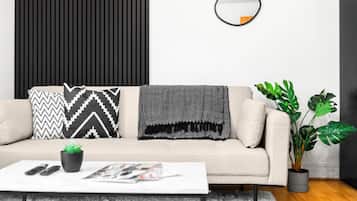 TV, Netflix, streaming services