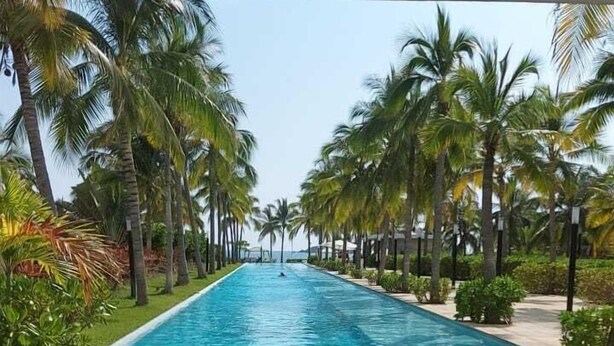 A swimming pool with a wooden deck in the foreground and palm trees in the background.