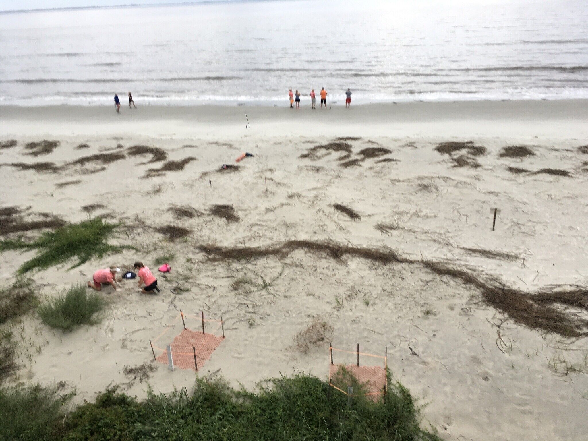 on the beach, sun-loungers, beach towels