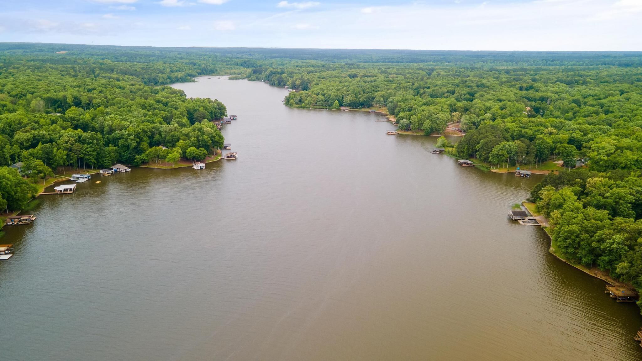Un río bordeado por densos bosques y muelles con barcos.