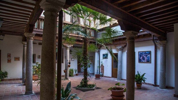 Un patio con un árbol en el centro, plantas en macetas y piso de baldosas.