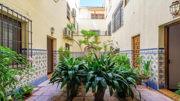 A narrow courtyard with tiled walls and a tiled floor, surrounded by potted plants and a small tree. - Apartamento San Vicente by Toledo AP (Toledo)