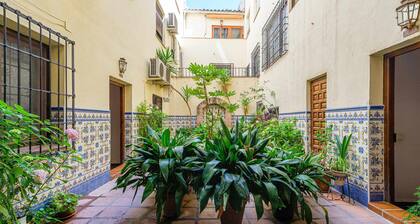 Apartamento San Vicente by Toledo AP