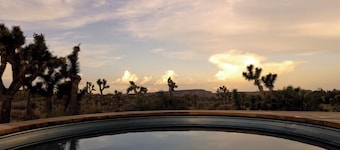 The Desert Place