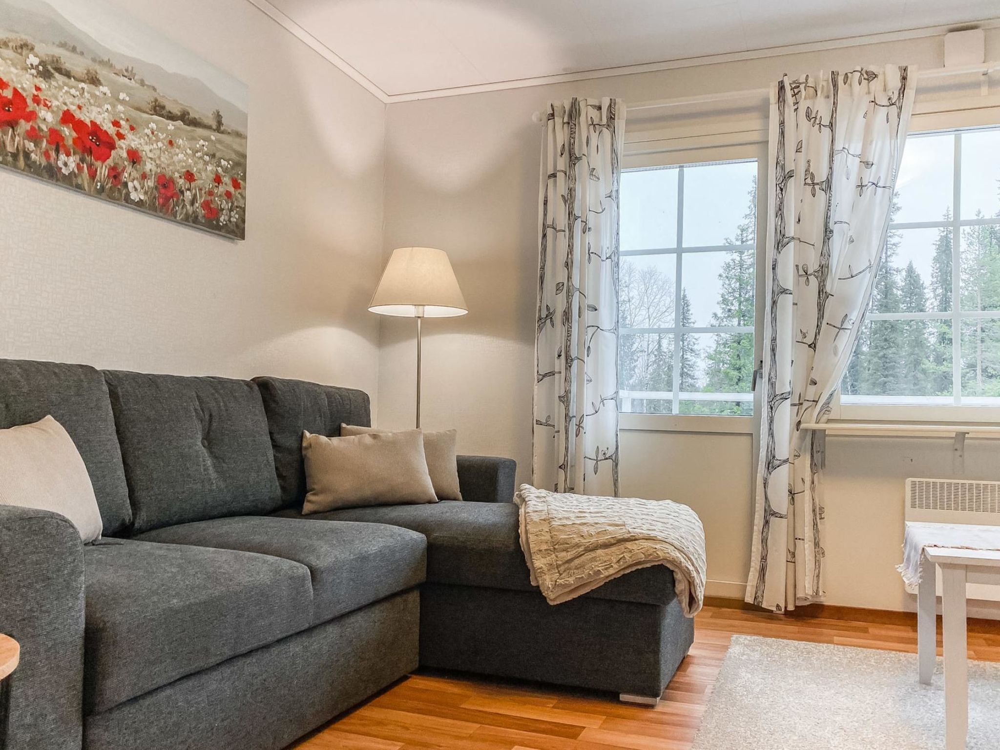 Fernseher, DVD-Player