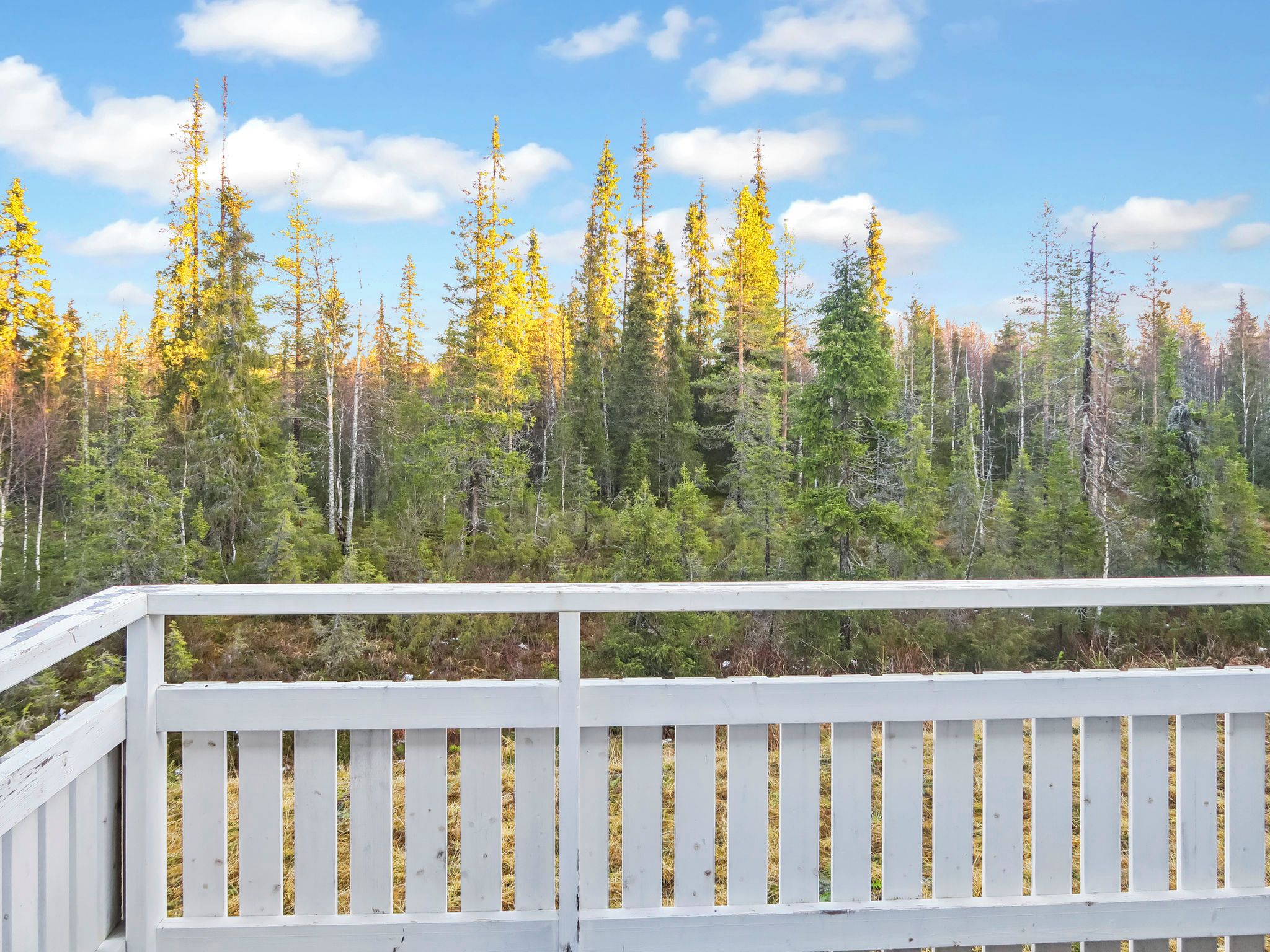 Une terrasse en bois dotée d’une balustrade, qui offre une vue sur une forêt aux arbres aux feuilles jaunes.