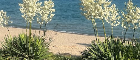 Playa en los alrededores