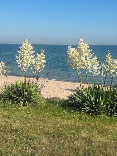 Spacious 5 bedroom home with private pool, hot tub & 10 minute walk to the beach