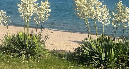 Spacious 5 bedroom home with private pool, hot tub & 10 minute walk to the beach