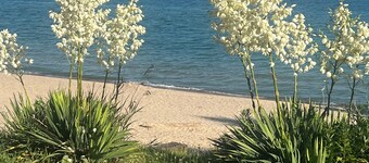Spacious 5 bedroom home with private pool, hot tub & 10 minute walk to the beach