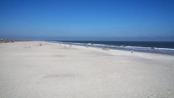 Playa en los alrededores, camastros y toallas de playa