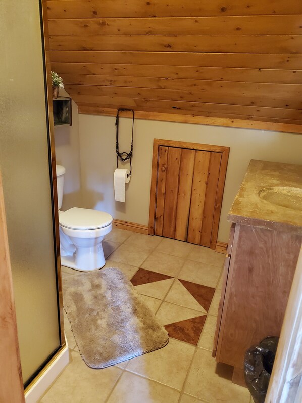 A small, rustic bathroom with a wooden ceiling, a white toilet, a wooden cabinet, and a patterned rug.