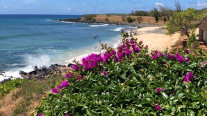 Un paysage côtier comprenant une plage, une côte rocheuse et de la végétation.