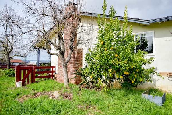 Área da propriedade