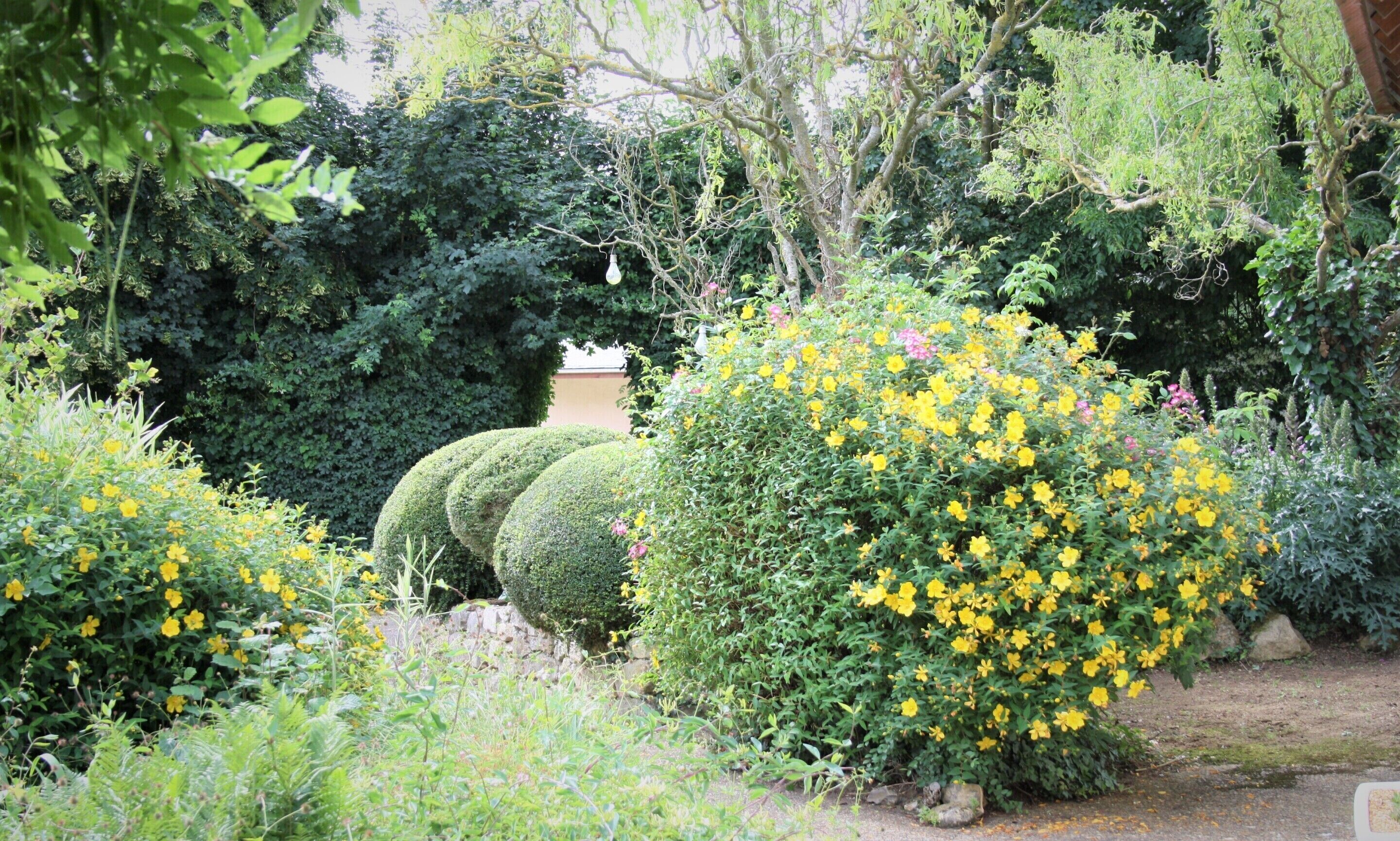Garten & Außenbereich