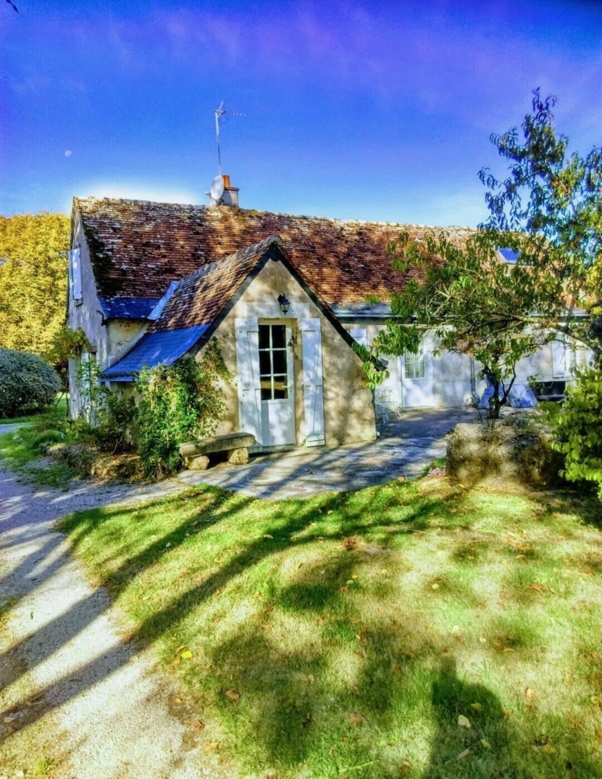 オーナーのプロフィール画像