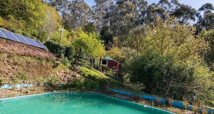 Panoramic Yurt - NaturViana